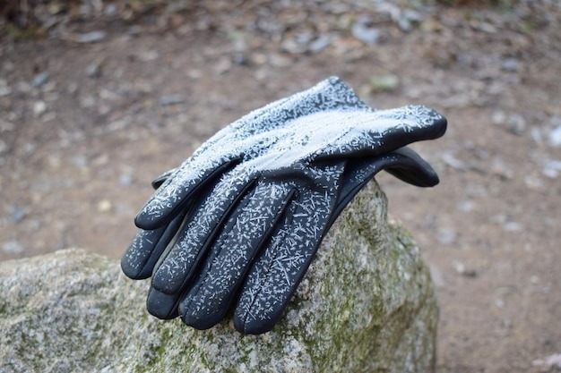 gloves